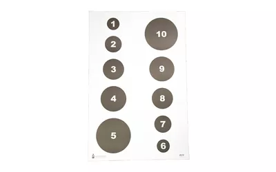 ACTION TGT CIR COMMAND TRNG 100PK